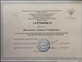 Сертификат участнику открытой научно-практической конференции "Методика организации учебного исследования" 2016г Москва